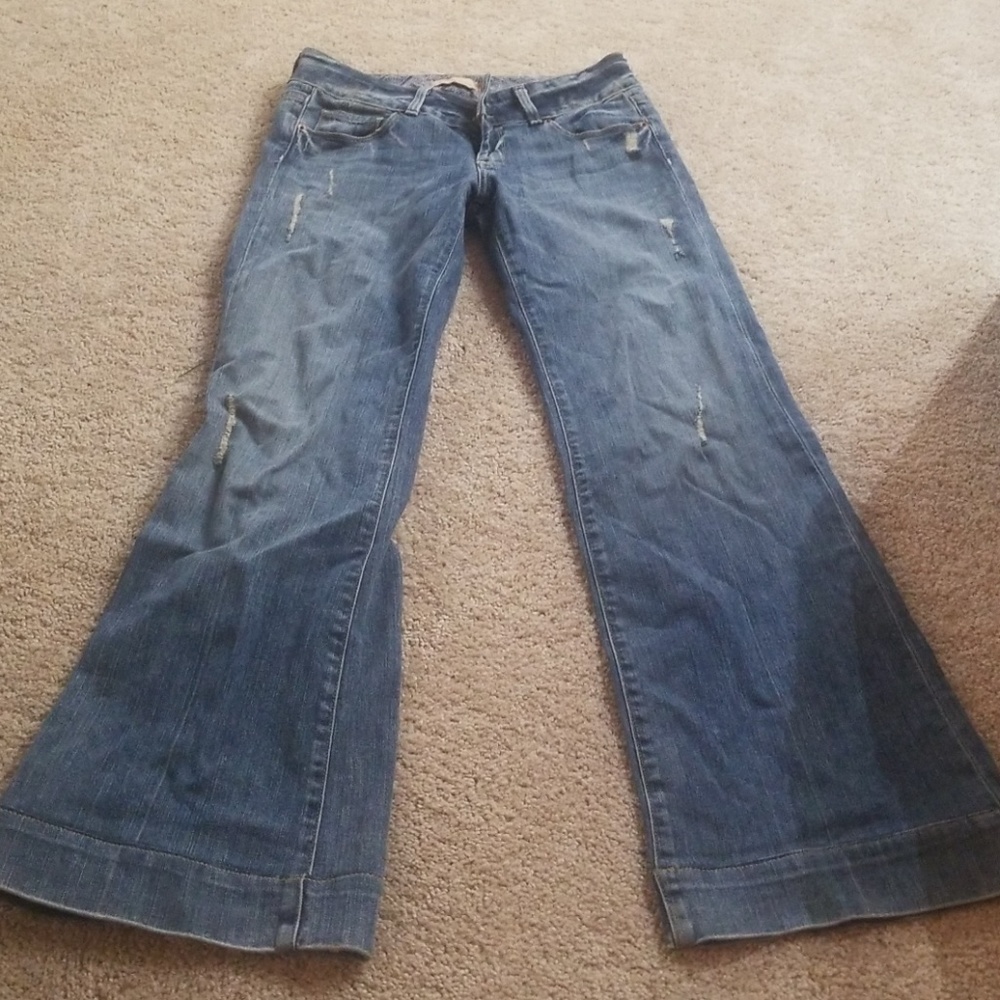 Paige Flares
